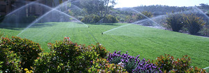 Snow Turf & Irrigation Landscapes Pic 4