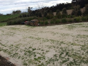 Snow Turf & Irrigation Landscapes Pic 5