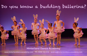 Hinterland Dance Academy Pic 2