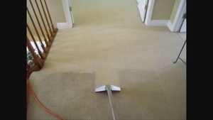 Mark's Carpet Cleaning Pic 4