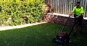 The Mower Pic 5