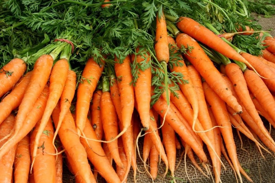 Ritas Farm Fresh Produce Pic 1 - Carrots