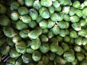 Ritas Farm Fresh Produce Pic 2 - Sprouts