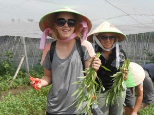 Westen Asian Travel Service Pic 4 - Nice Water Spinach After Picking Up