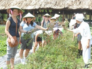 Westen Asian Travel Service Pic 2 - Picking Up Nice ingredients on The Garden