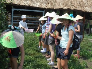 Westen Asian Travel Service Pic 3 - Picking Vietnamese Mints