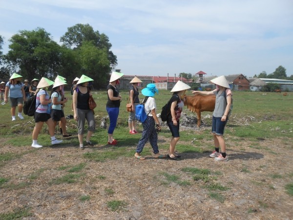 Westen Asian Travel Service Pic 1 - Visiting Cow Areas