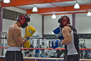 The Boxing Shop Pic 3 - sparring session