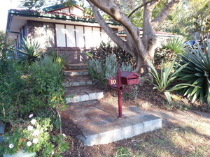 A Man A Ute & Tools Pic 4 - gardening