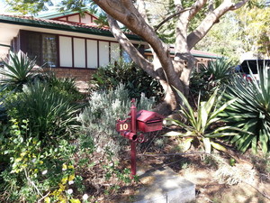 A Man A Ute & Tools Pic 3 - gardening