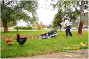 Kevin Hinsliff Lawn Mowing & Maintenance Services Pic 5