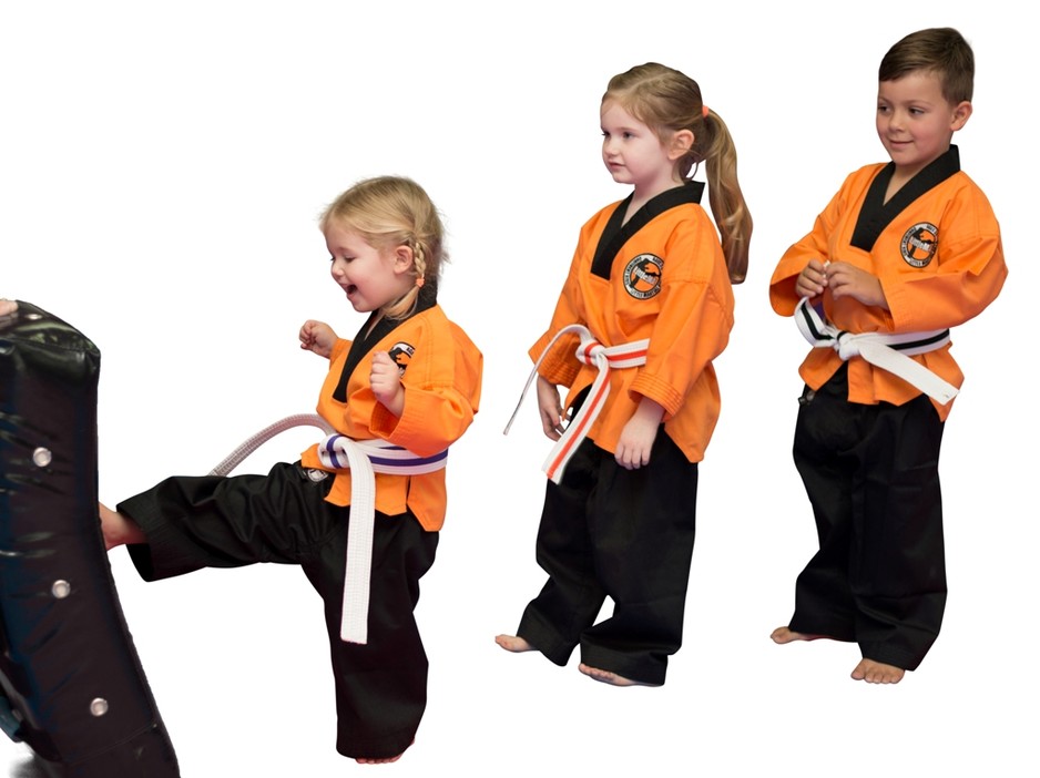 Little Martial Arts Pic 1