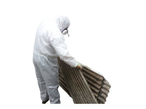 Pro Asbestos Removal Perth Pic 4 - Pro Asbestos Removal Perth