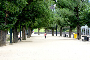 Soilbond Pic 2 - Birrarung Marr Melbourne public space stabilised with Soilbond