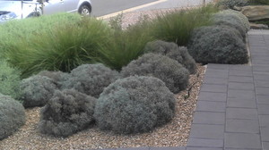 G.F. RENC LANDSCAPING & GARDEN MAINTENANCE Pic 3 - Low maintenancecoastal gardens