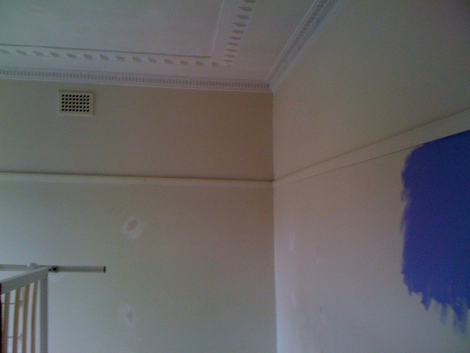 Specialised Painting Solutions Pic 1 - Before