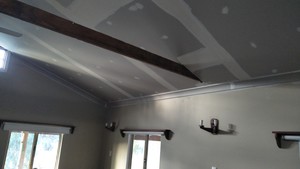 Josso's Wall and Ceilings Pic 2