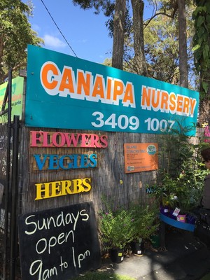 Canaipa Nursery & Gift Shop Pic 2