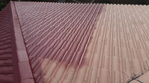 Silverline Roofing Pic 5