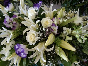 Balcatta Florist Pic 3