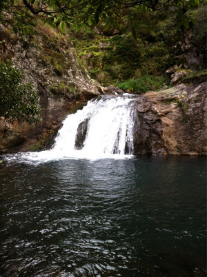 Jenolan Caves Cottages Pic 4 - Peace and serenity