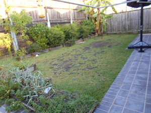 AUSTRALIAN SYNTHETIC LAWNS Pic 4 - Before Middleton Grange