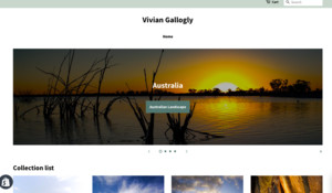 Oround Web Design Pic 4 - Working with Vivian was a pleasure because he has one of the best Landscape photos He gave us a challenging task to execute and we delivered