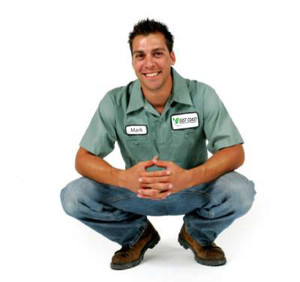 East Coast Building And Pest Pic 3 - Experienced and Friendly Technicians