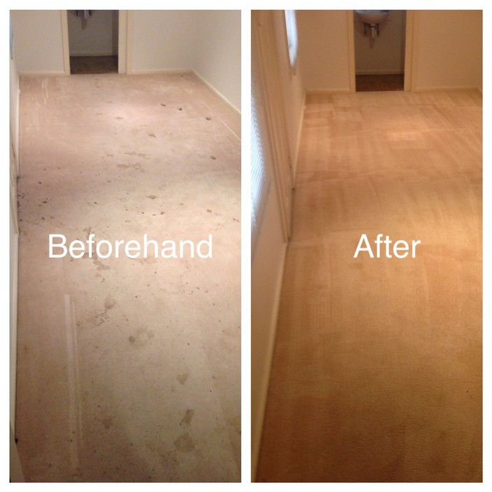 Floor Care Pic 1 - Carpet Cleaning