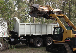 Adam Jenkins Tree Services Pic 5