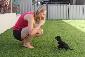 Vick's Dog Tricks Pic 4 - Teaching my puppy Charlie to sit