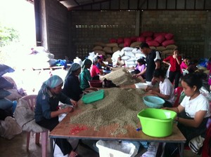 KPS International Trade (Australia) Pic 4 - Sorting