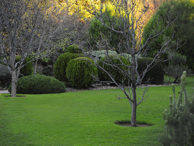 Ace of Blades Lawn Mowing Pic 1