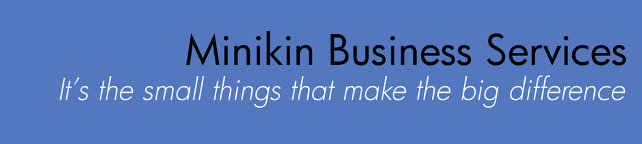 Minikin Business Services Pic 1 - minikin business services