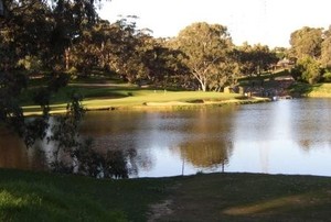 Flagstaff Hill Golf Club Inc. Pic 3 - 7th hole par 3 water carry