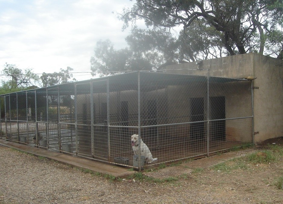 Kellmann Kennels Pic 1