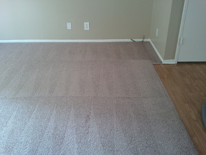 Westend Carpet Cleaning Pic 2