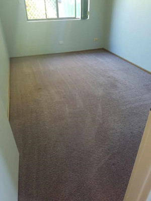 Westend Carpet Cleaning Pic 3