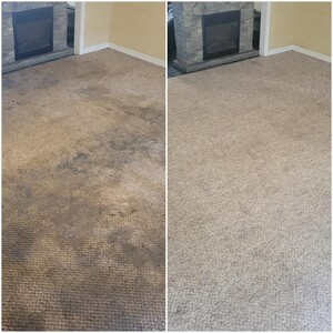 Bt Carpet Cleaning Sydney Pic 4