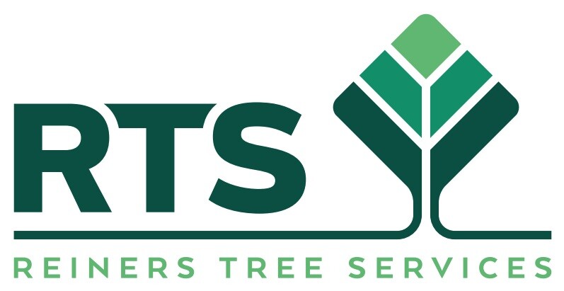 Reiners Tree Services Pic 1 - Tree Service