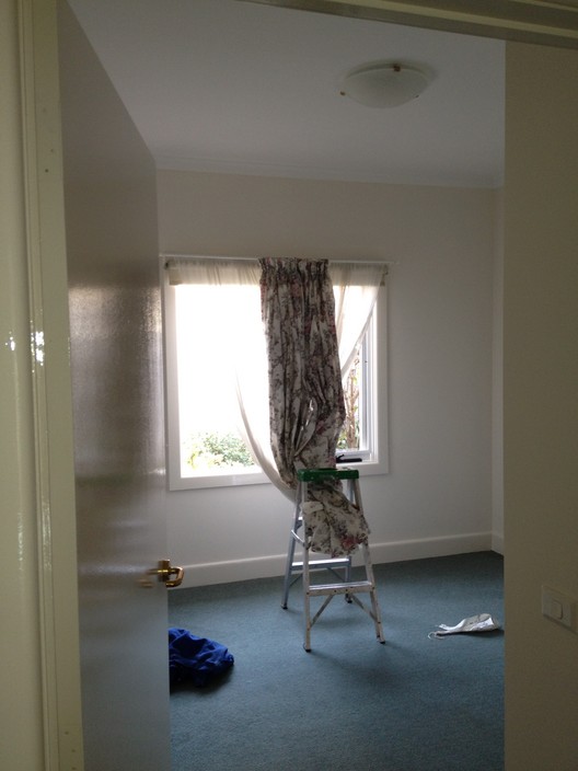 Shanes Painting Service Pic 1