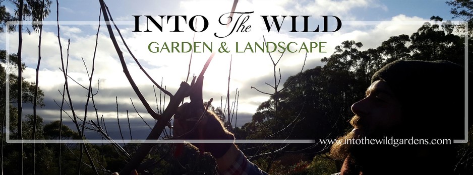 Into The Wild Garden & Landscape Pic 1