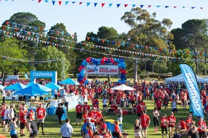 Minapre Events Pic 2 - Run Geelong 2016