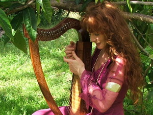 Gypsy Rose - Scissorcraft Pic 3 - Karen on Celtic harp Rosie