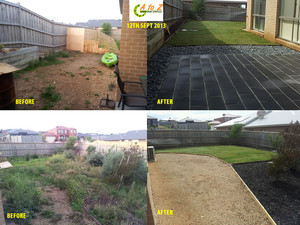 A to Z Handyman Services Pic 4 - Transform the entire backyard