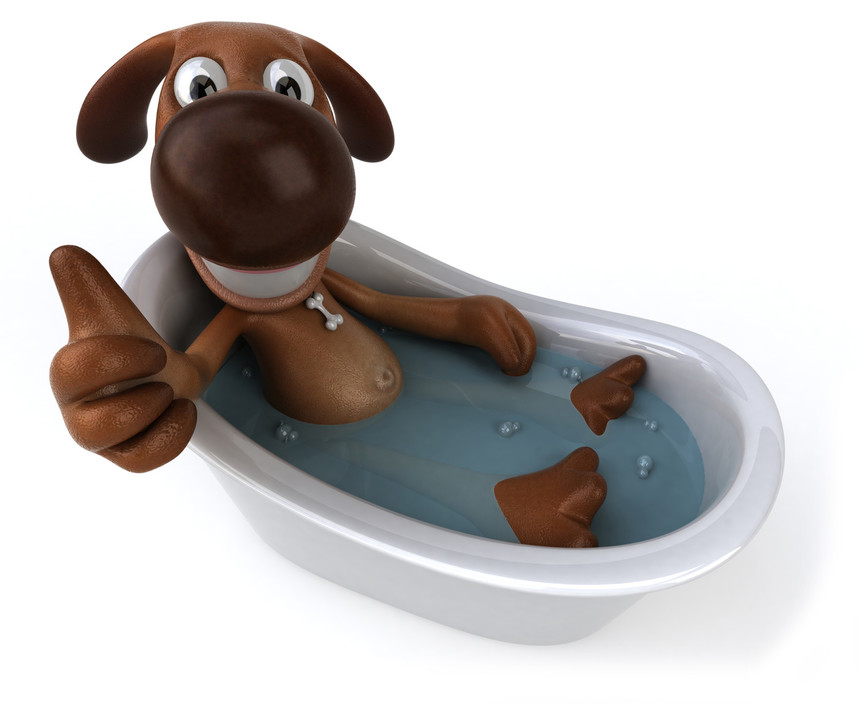 Woofys Dog Wash in Seaford, Melbourne, VIC, Pet Groomers TrueLocal
