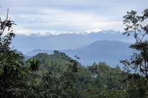 Himalayan Long Life Botanicals Pic 4 - View of the jungle and herb farms in the Himalayas of Nepal that are sustainably harvested