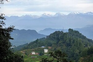 Himalayan Long Life Botanicals Pic 5 - A view of the sustainably harvested jungle which provides the herbs of the Himalayas that are offered in these packets