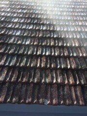 Done Right Roofing Pic 1 - Before clean