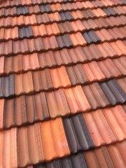 Done Right Roofing Pic 3 - After clean